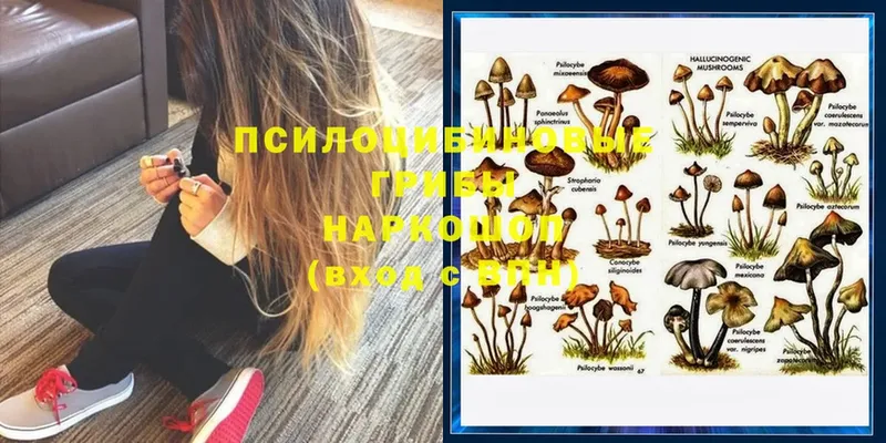 Галлюциногенные грибы Magic Shrooms  закладки  KRAKEN tor  Медынь 